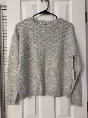 Dex Women's Light Gray Textured Knit Sweater NWT XS